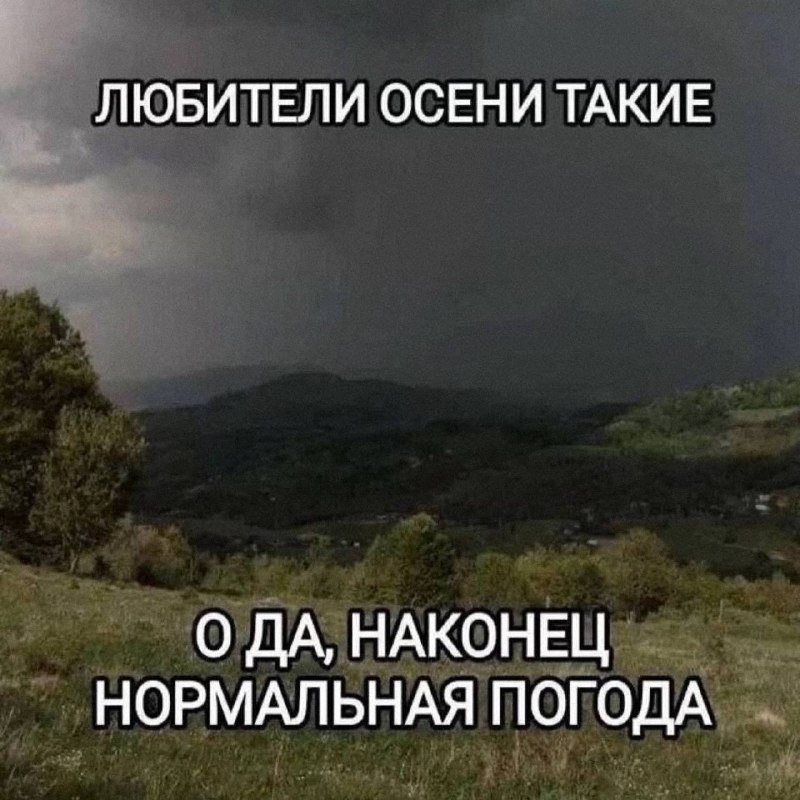 Утренняя подборочка