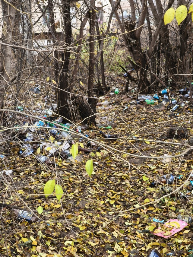 Хотелось бы обратить внимание на территорию в сторону ...