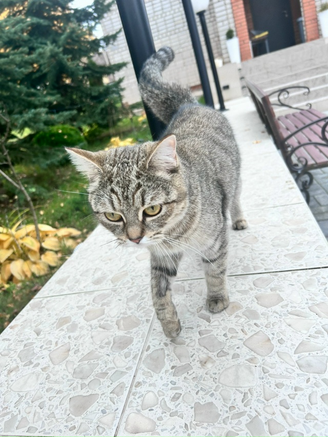 Кто потерял? Село Ильинское