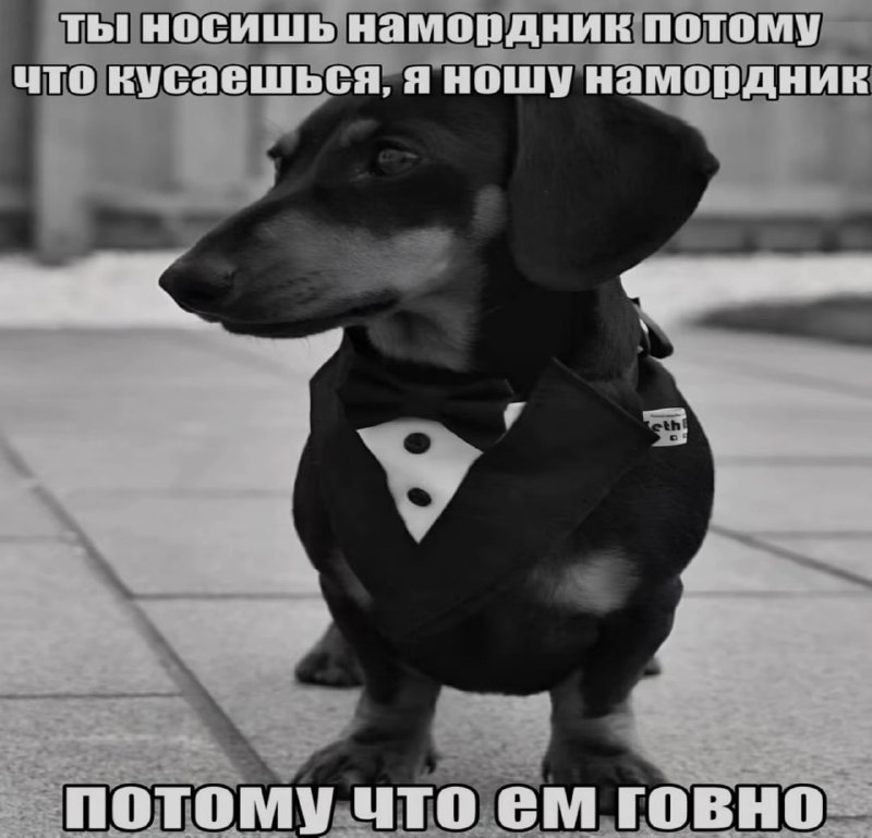 Ночная подборочка
Спать, режим