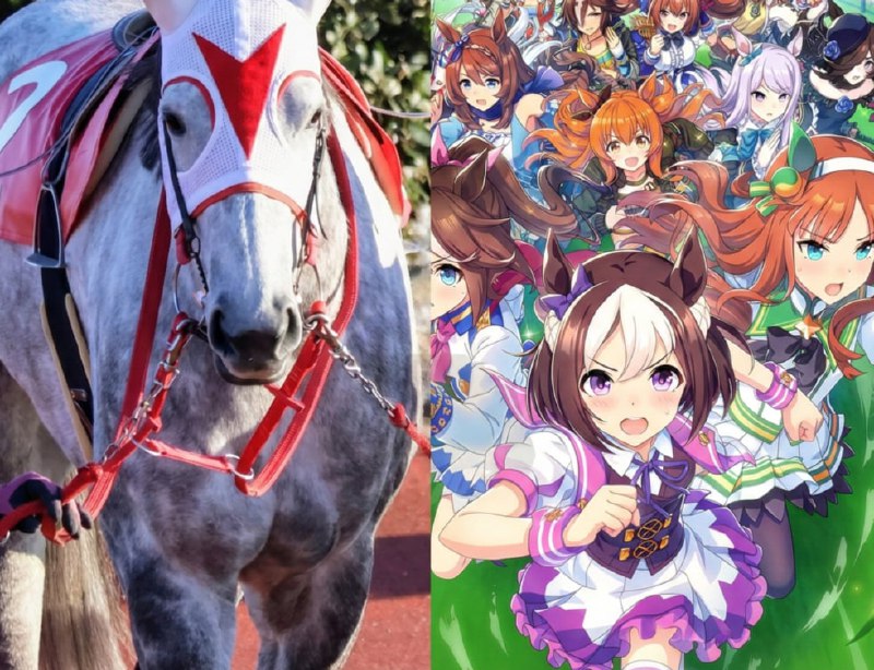 🐴Новогоднее чудо!
Лошадь, названная в честь персонажа из аниме «Девушки-пони» — Хэппи Мик, одержала