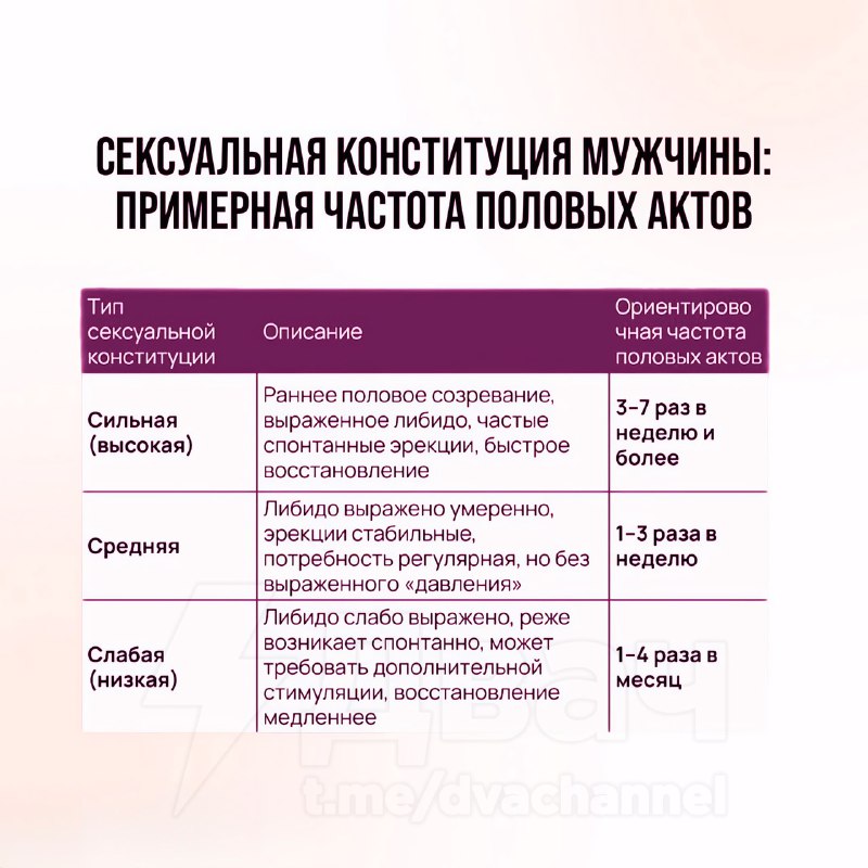 Как часто мужчине стоит заниматься сексом и от чего это зависит — российские врачи дали реально важн