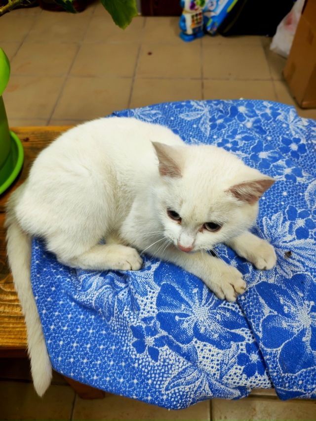 Админ, опубликуйте пожалуйста пост 🙏
Доброго времени ...