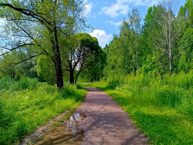 Доброй ночи, Никольск❤