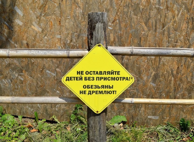 Так уж и быть, уговорили