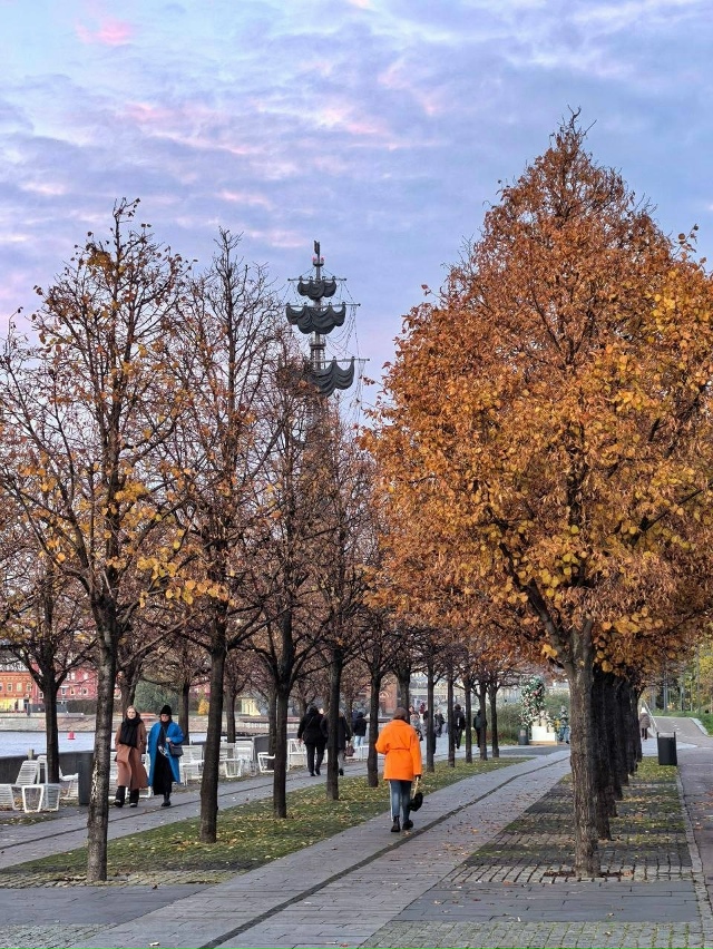 Краски Мoскoвскoй oсени 😍