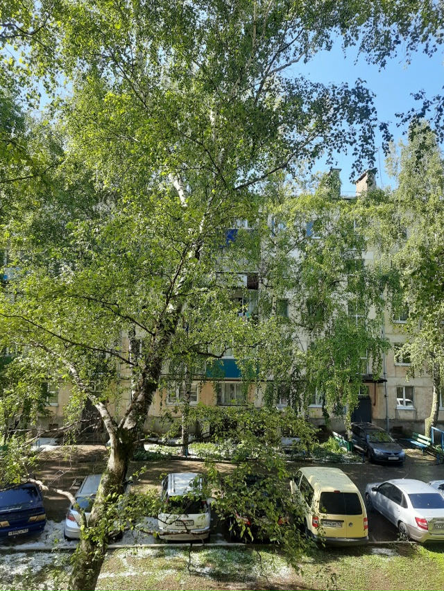 Какая же хорошая пора— лето и природа может быть не пр...