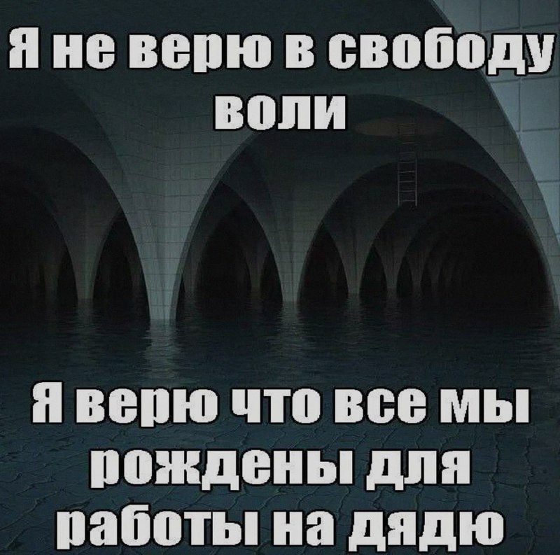 Ночная подборочка
Спать, режим