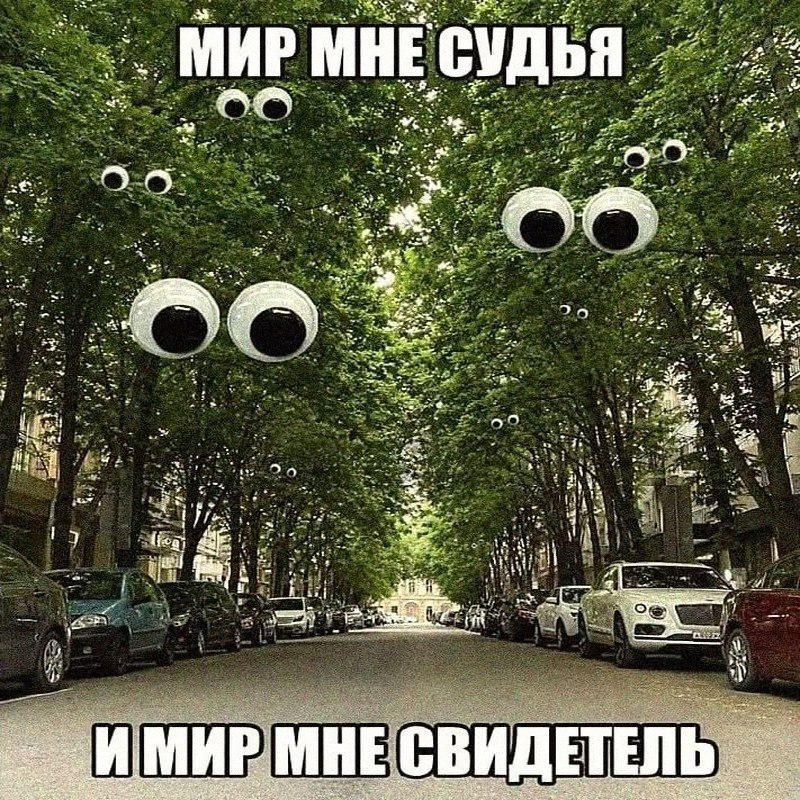 Утренняя подборочка