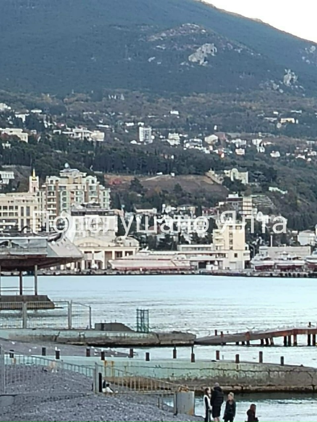 😥 Лысый Поликур. Новая реальность Ялты. Кто следующий?