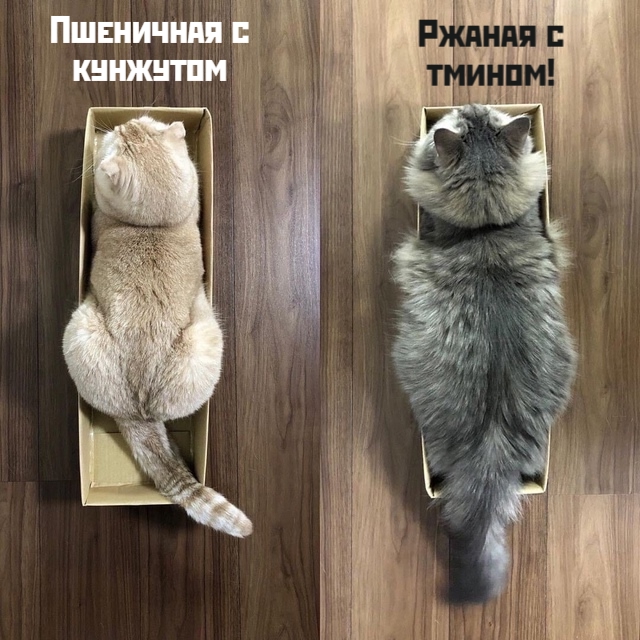 Булочки упакованы)