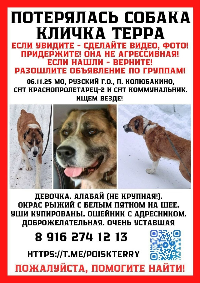 В последний раз видели в прошлую субботу идущей из Анн?...