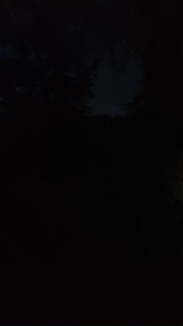 Здравствуйте, интересно у нас на Шпальнике у одних не ...
