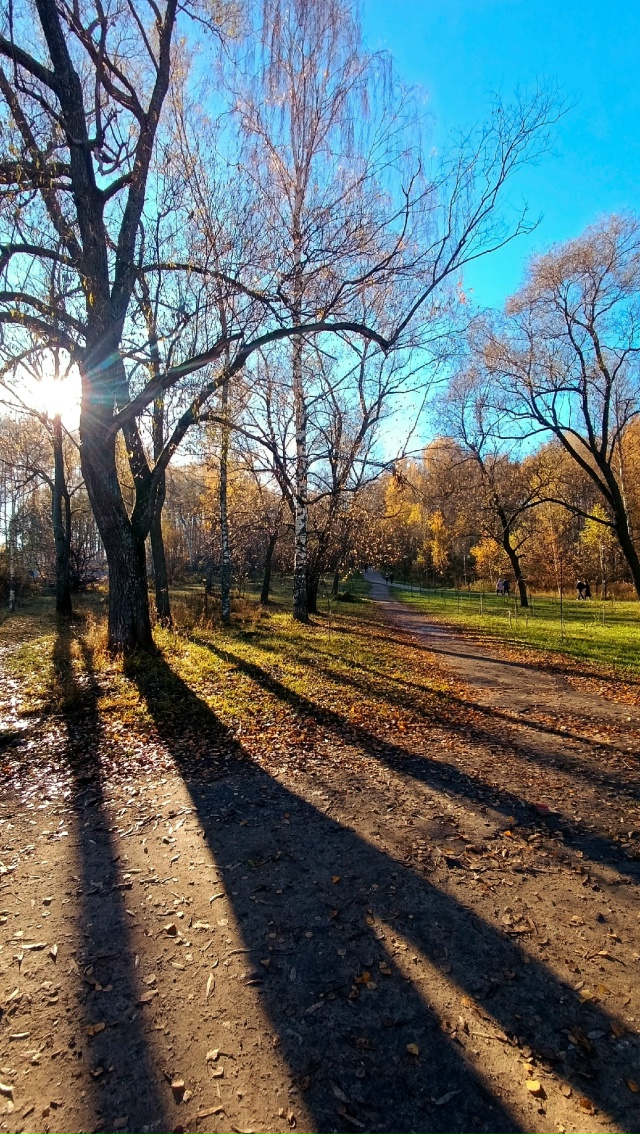 Осенняя Павловская роща🍂