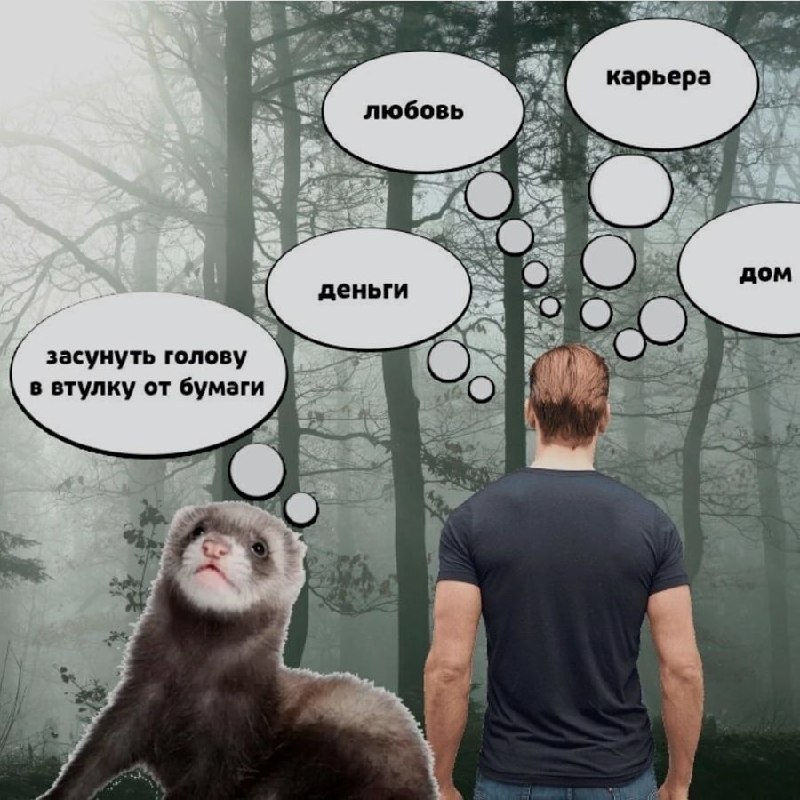 Ночная подборочка
Надеюсь, мы с вами увидимся завтра