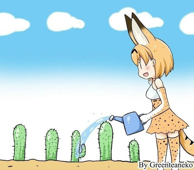 На сегодня достаточно интернета