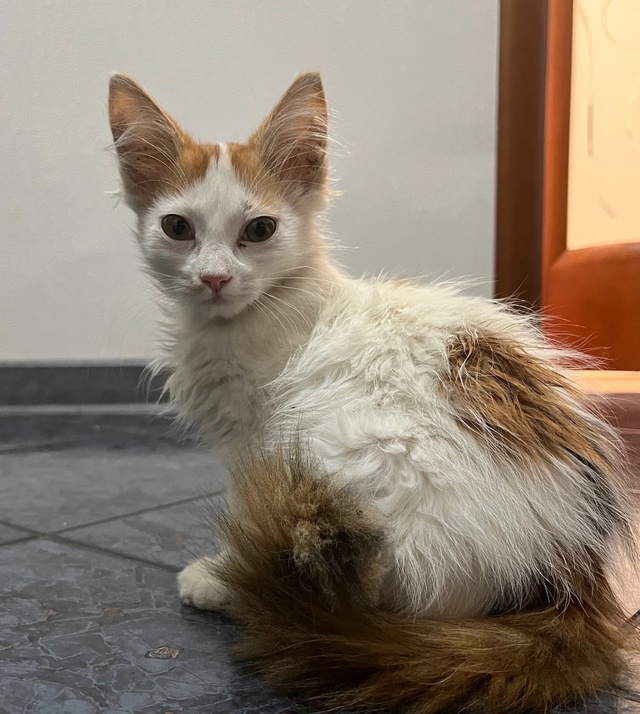 1. Бегала в районе 1 поликлиники, наверное потерялась.
а...