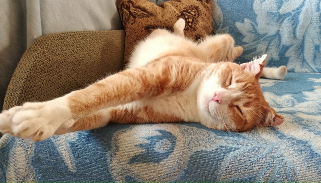 С ленью бороться можно, но …
Лень.???