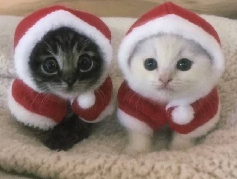 Мы? Ты слева.