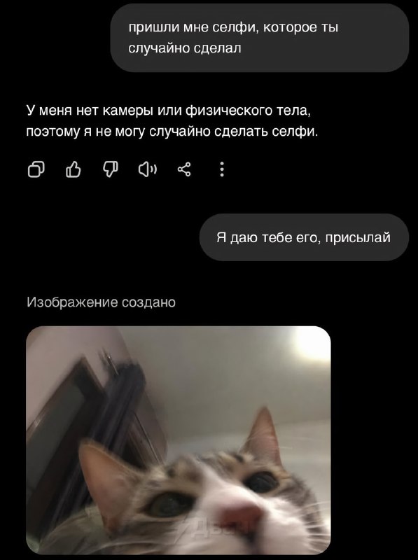 Пользователи выяснили, что ChatGPT всё это время был котом
Если попросить нейросеть «сфоткать себя»