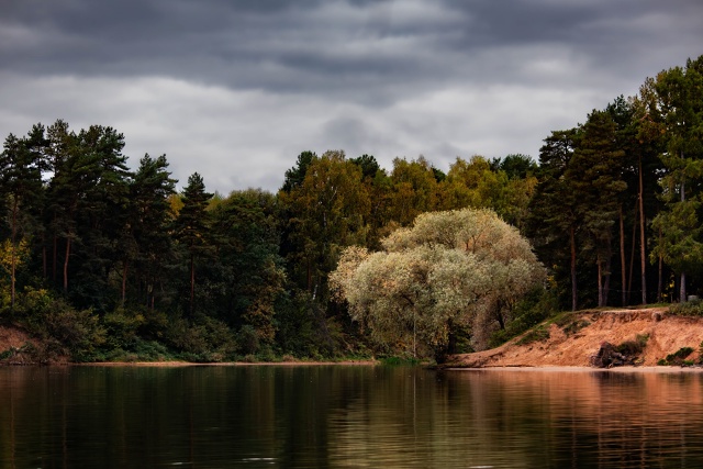 Осенние пейзажи водохранилища 🌾