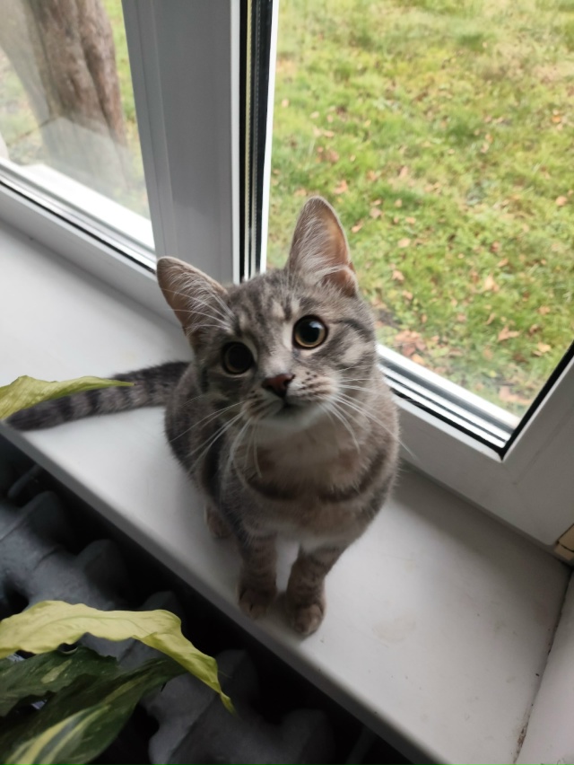 Не #мявстерская
Красавиться