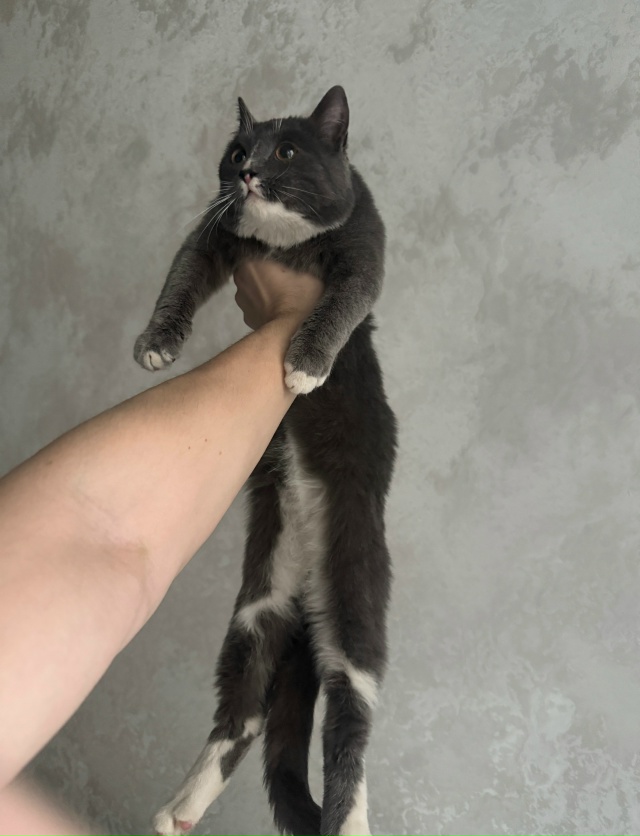 В районе железнодорожного вокзала Пермь II обнаружен и ...