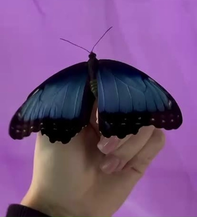 УВАЖАЕМЫЕ ЖИТЕЛИ ГОРОДА КОВРОВ !!!!!
У нас идёт финальна?...