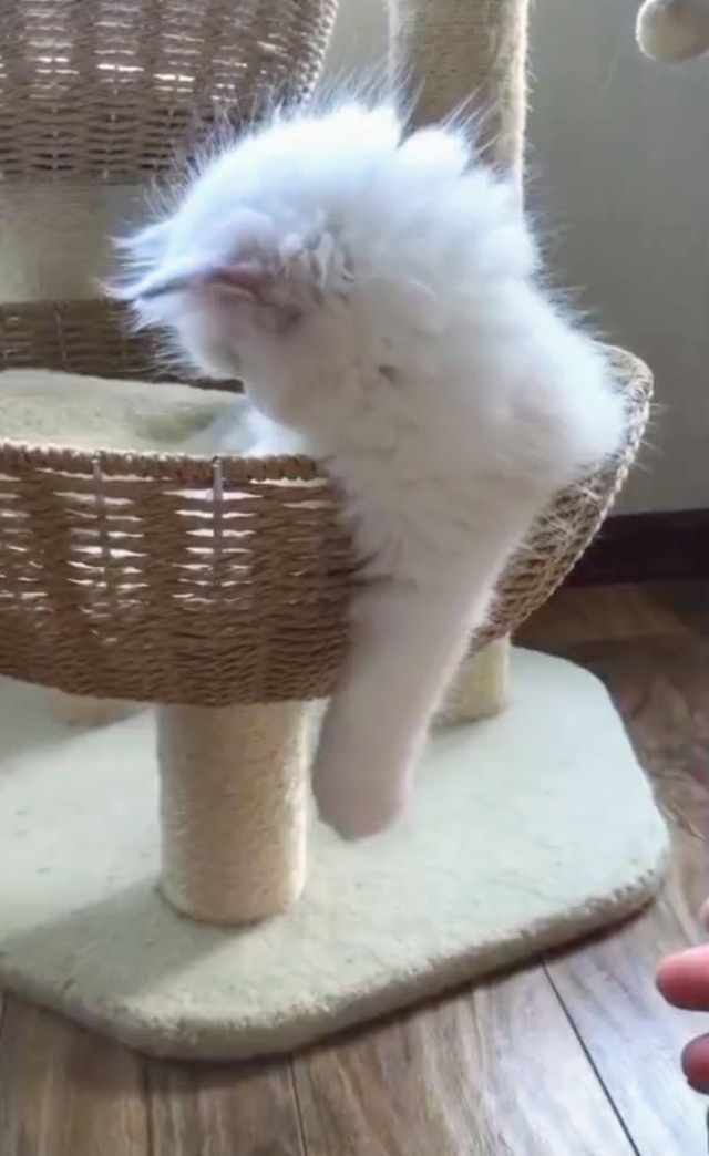 Состояние во вторник утром