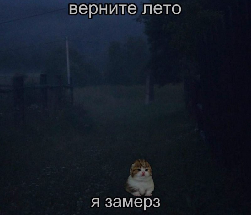 Ночная подборочка
Спать, режим