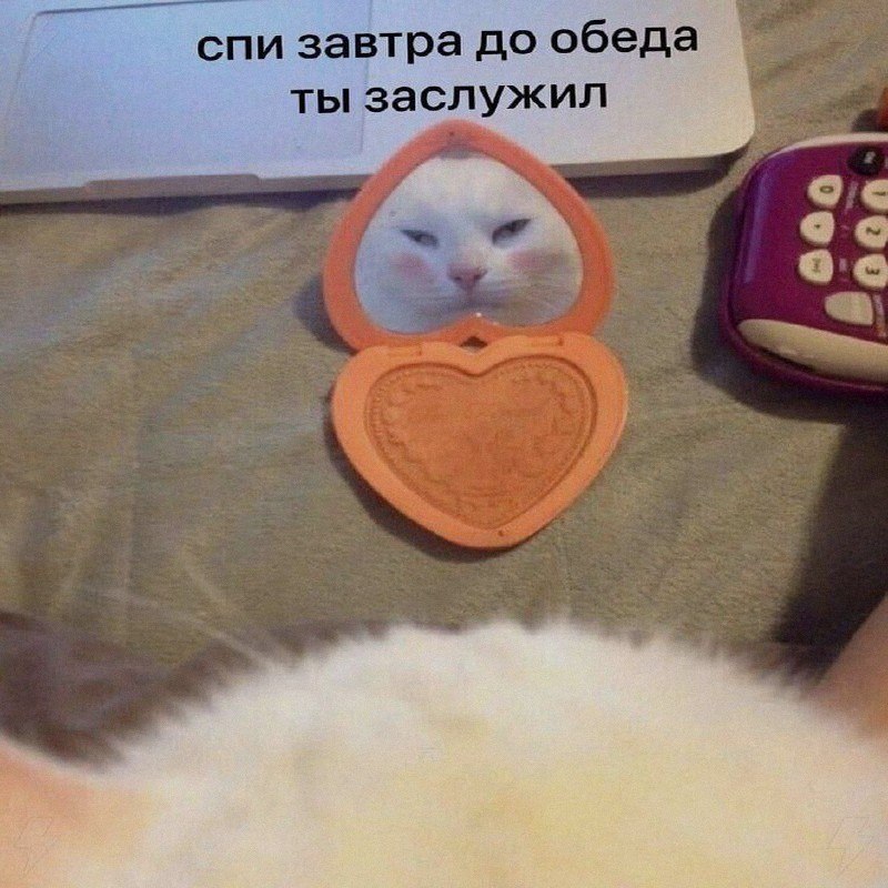 Ночная подборочка
Выходные, не спим