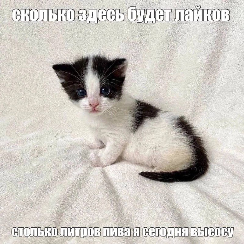 Утренняя подборочка