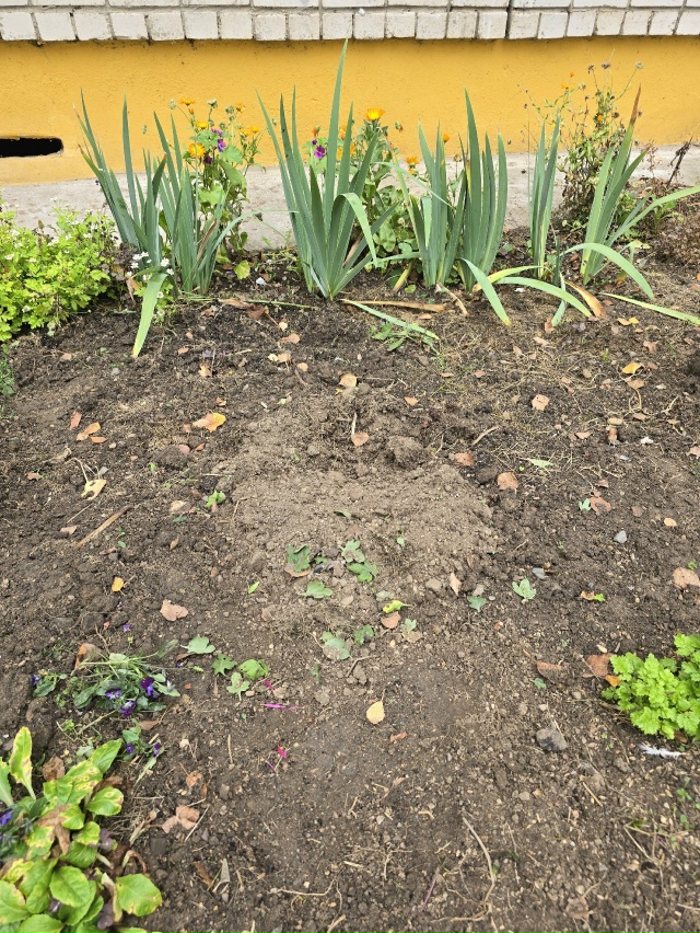 Не могу сдержать эмоции!!!!! ОЧЕНЬ НАДЕЮСЬ, ЧТО ЭТОТ ПОСТ...