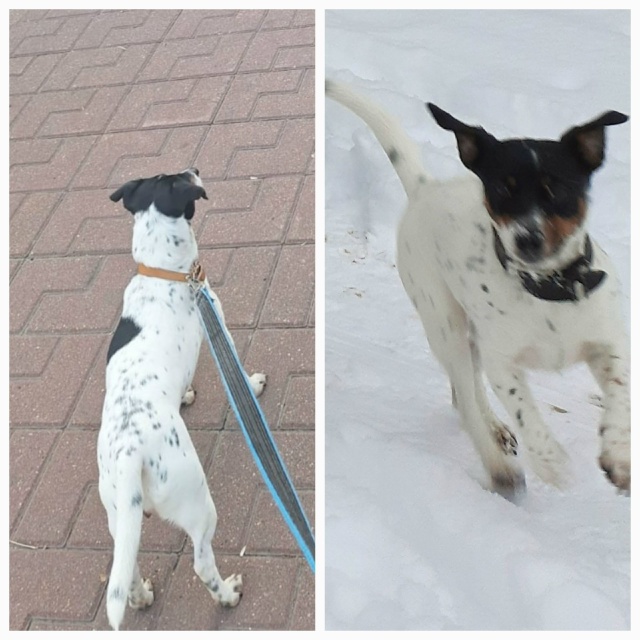 27 числа вечером в районе Красноармейской улицы Пропал?...