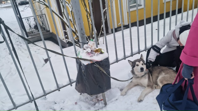 На ж/д Старый Петергоф, со слов работников станции соба...