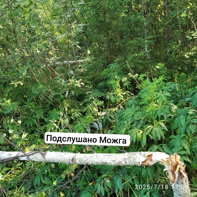 ‼️ Ужас какой 😱
‼️ Вот так 