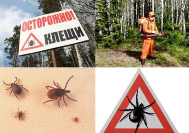 Компания 