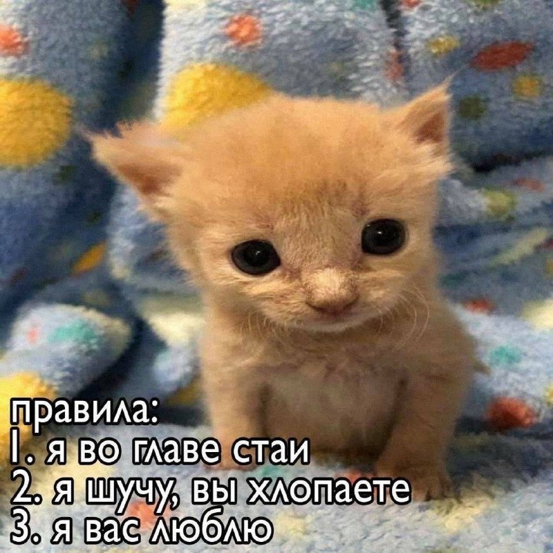 Утренняя подборочка