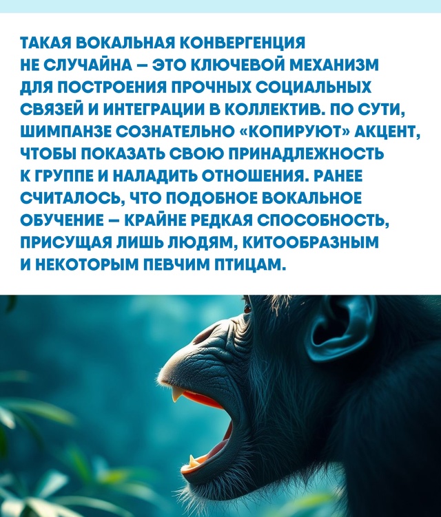Мы привыкли думать о речи как о чисто человеческом дос?...