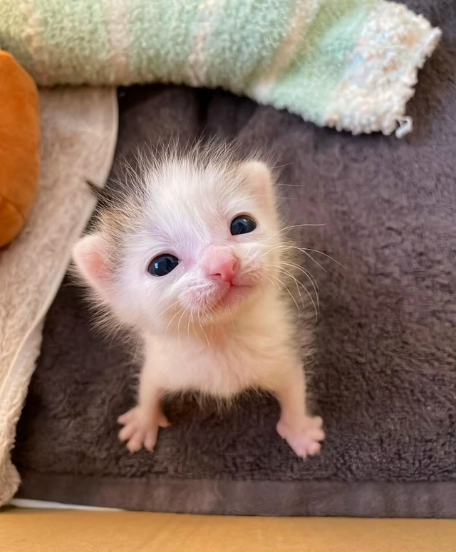 Объясните свою маленькость