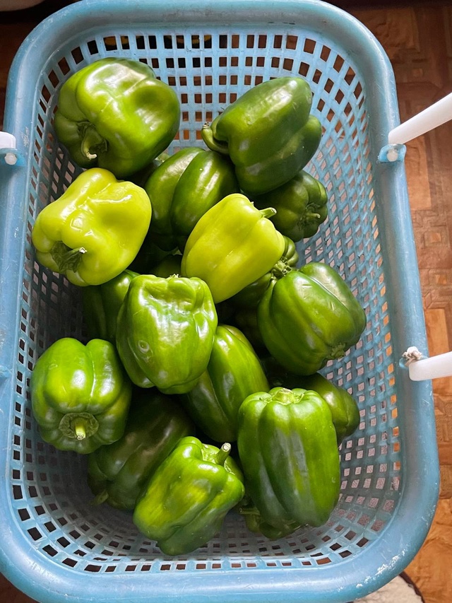 🍅 1000+ жителей города в чате Фермеры Садоводы Салавата....