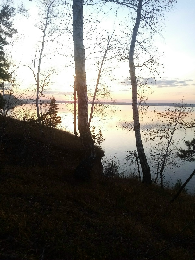 Немного позитива в ленту.На снимках-подборка №2 ,краси?...