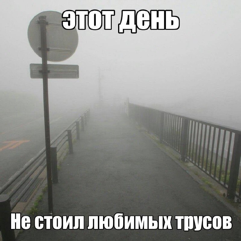 первая мемббота этой осени, дамы и господа