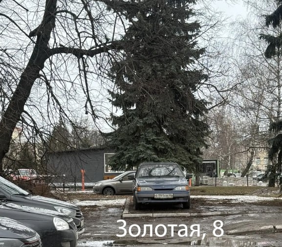 🚫 Курские власти продолжают борьбу с неправильной па?...