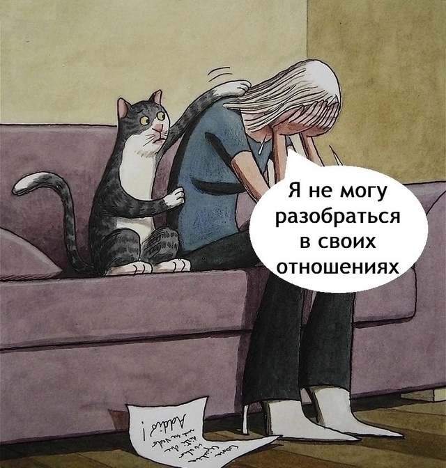 Мудрый котик)
