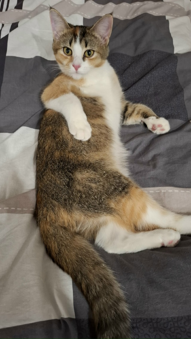 Подсказать вам что-то, женщина? Нужна подсказка?