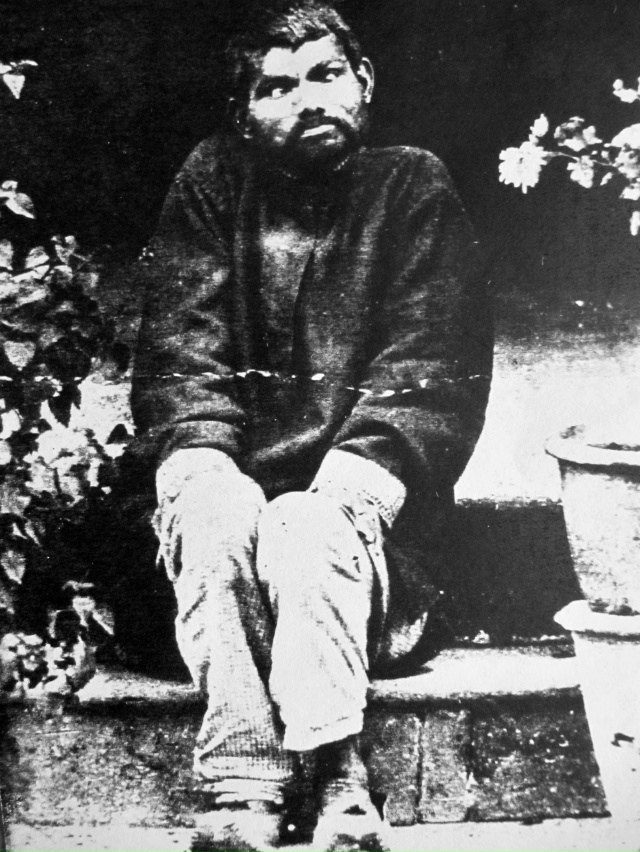 У Маугли Киплинга, вероятно, был прототип.
В 1872 году г?...