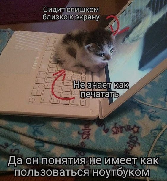 Ночная подборочка
Спать, режим