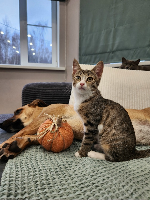 ❗️ВОЛГОРЕЧЕНСК ❗️
МАЛЕНЬКАЯ БАНДИТКА ПО ИМЕНИ ЛЕРА ...