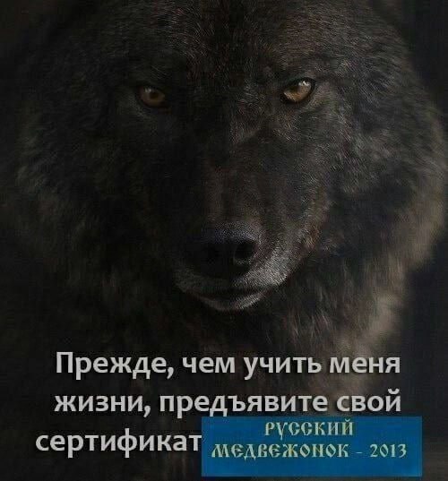 Ночная подборочка
Спать, режим